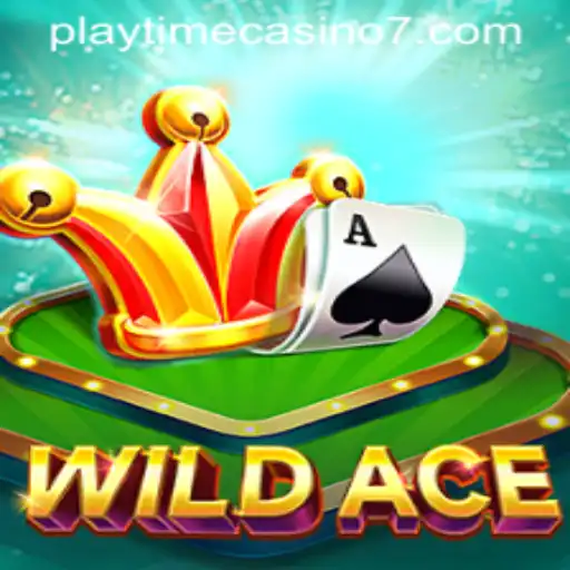 Exploring WildAce: A Premiere Playtime Casino Experience